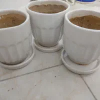 گلدان سفالی