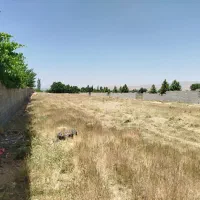 زمین مسکونی