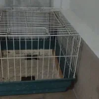 قفس خرگوش