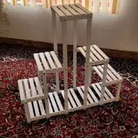 طبقه جاگلدانی