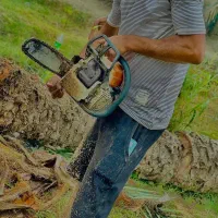 قطع درختان مزاحم