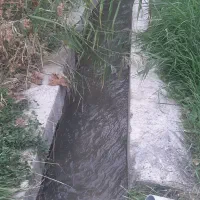 باغچه ایوند|فروش زمین و ملک کلنگی|صوفیان, |دیوار