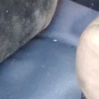 خودرو|خودرو سواری و وانت|تبریز, |دیوار