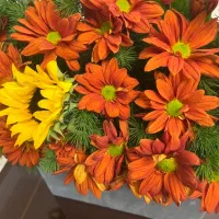 دسته گل|گل و گیاه طبیعی|مشهد, هنرستان|دیوار