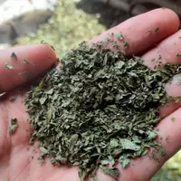 نعنا خشک (بینه خوالیواش)|خوردنی و آشامیدنی|رشت, بازار|دیوار