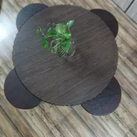 عسلی و جلومبلی ست|مبلمان خانگی و میز عسلی|شفت, |دیوار