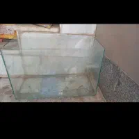 اکواریوم سالم ۶۰در۴۰