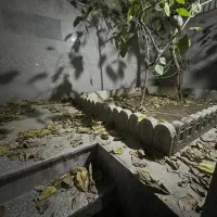 60-متر-گلنگی-بر-6-مجیدیه-جنوبی