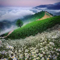 راهنمایی سفر