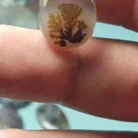 ورق بزنید حراجی شجر|جواهرات|شهریار, شهریار|دیوار