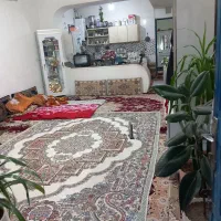 اجاره خانه ویلایی ۶۰ متری ۱ خوابه در رسالت|اجارهٔ خانه و ویلا|مشهد, رسالت|دیوار