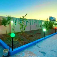 باغچه درخت میوه انباری تانکراستخر آب برق شاهنامه|فروش زمین و ملک کلنگی|مشهد, فارغ التحصیلان|دیوار