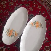 دو عدد بشقاب ملامین