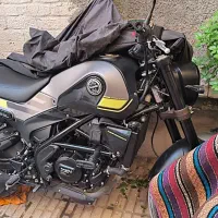 بنلی لئوچینو