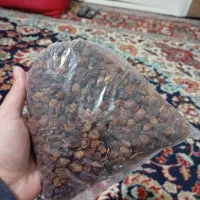 مویز امسال|خوردنی و آشامیدنی|سبزوار, امیریه|دیوار