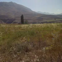 فروش زمین کشاورزی|فروش دفتر صنعتی، کشاورزی، تجاری|رینه, |دیوار
