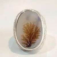 انگشتر پلاک|جواهرات|کرمان, |دیوار