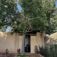 باغ نقلی -اشکاوند|فروش خانه و ویلا|اصفهان, قلعه جوم|دیوار