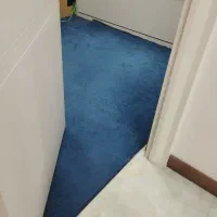 موکت آبی دلبر