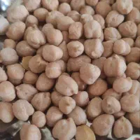 نخود تازه بذر کرمانشاه