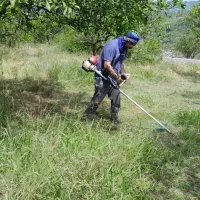 علفتراش پاکسازی،نقاشی،حرس وقطع درخت،سمپاشی علفکُش|خدمات باغبانی و درختکاری|قائمشهر, |دیوار