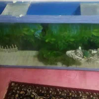 اکواریوم|ماهیگیری|بیرجند, |دیوار