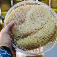 پخش عمده عسل|عمدهفروشی|اردبیل, |دیوار