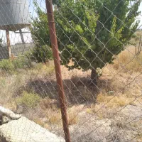 ۱۰۰۰مترزمین باغی محصور|فروش زمین و ملک کلنگی|گلبهار, نوبهار|دیوار