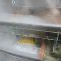یخچال دوقولو