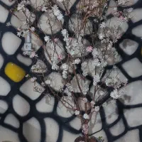 درخت تزئینی|ساعت دیواری و تزئینی|کرج, چمران|دیوار