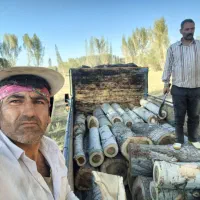 خریدار چوب خشک و تر