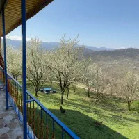 سوئیت و کلبه اجاره ایی با قیمت مناسب(امشب خالی)