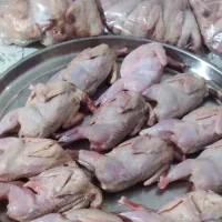 فروش مرغ و بلدرچین