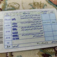 گم شدن مدارک