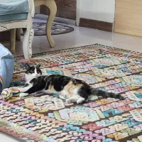 گربه ملوس|گربه|اصفهان, ملک‌شهر|دیوار