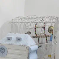 جفت گرینچیک