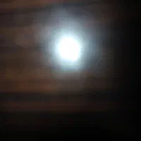 بلیط استخر
