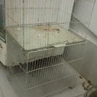 در حد نو سه عدد قفس پرنده