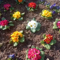 گروه باغبان حرفه ای