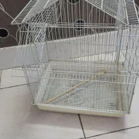 قفس پرنده