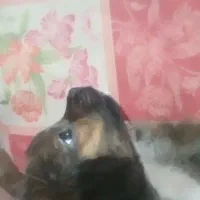 کمبود جا قیمت مناسب