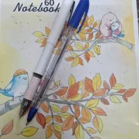 تدریس خصوصی