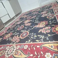 فرش اشپزخانه|فرش|الوند, |دیوار