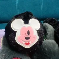 گوشگیر های استیکردار|کیف، کفش، کمربند|تهران, مینای شمالی (مخبر)|دیوار