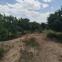 فروش باغ۵۶۰ متری محدوده پل زمانخان روستایی ش|فروش زمین و ملک کلنگی|اصفهان, آزادگان|دیوار