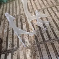 پایه عکس وسینی دونه 10 تومان عمدیی کمتر|صنایع دستی و سایر لوازم تزئینی|پاکدشت, پاکدشت (مامازند)|دیوار