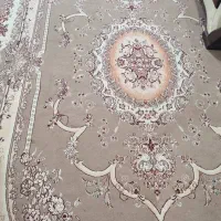 فرش|فرش|بوشهر, |دیوار