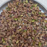 مغز پسته|عمده‌فروشی|قم, لسانی|دیوار