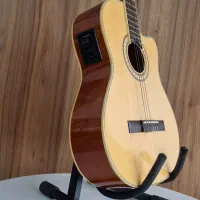 گیتار هافنر پیکاپدار با پیکاپ فیشمن|گیتار، بیس، امپلیفایر|یزد, |دیوار