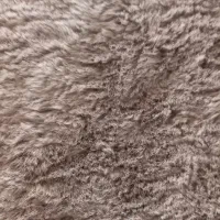 دوعدد پادری خز خارجی